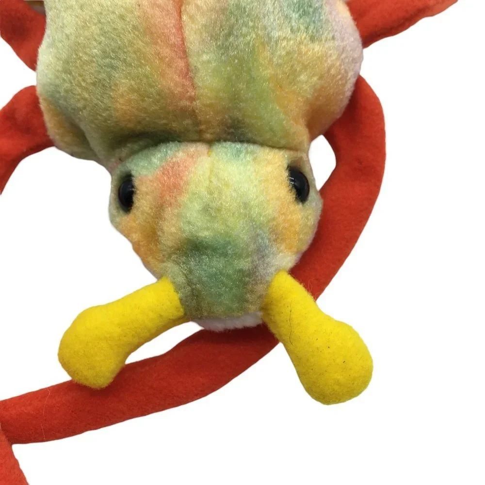 Ty Beanie Baby Scurry the Beatle Bug Vintage 2000 NO TAGS 9